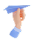 Mission Icon